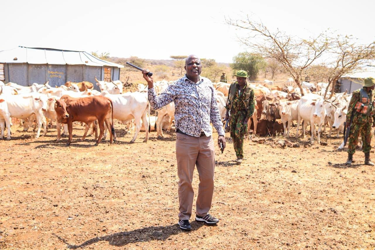 Banditry Survivors Receive Lifeline Through Government's Livestock Restocking